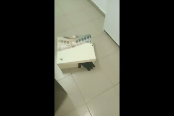 Кракен онион зеркало