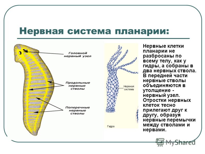 Как зарегаться в кракен