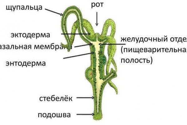 Кракен сайт даркнет