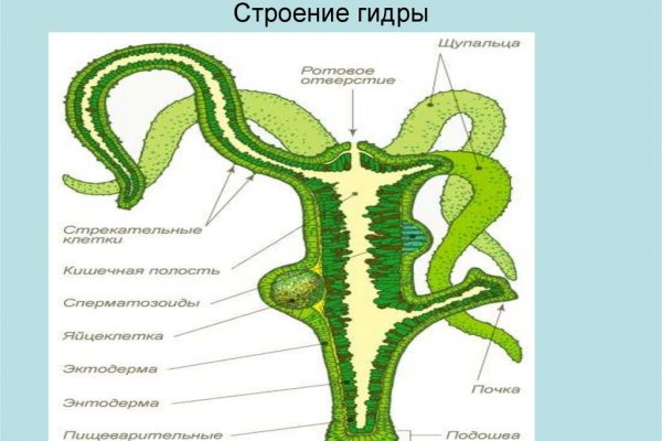 Список луковых tor сайтов